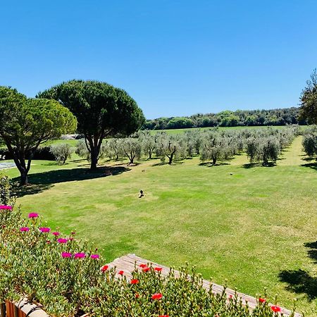 Il Borghetto Di Ansedonia Apartment Luaran gambar