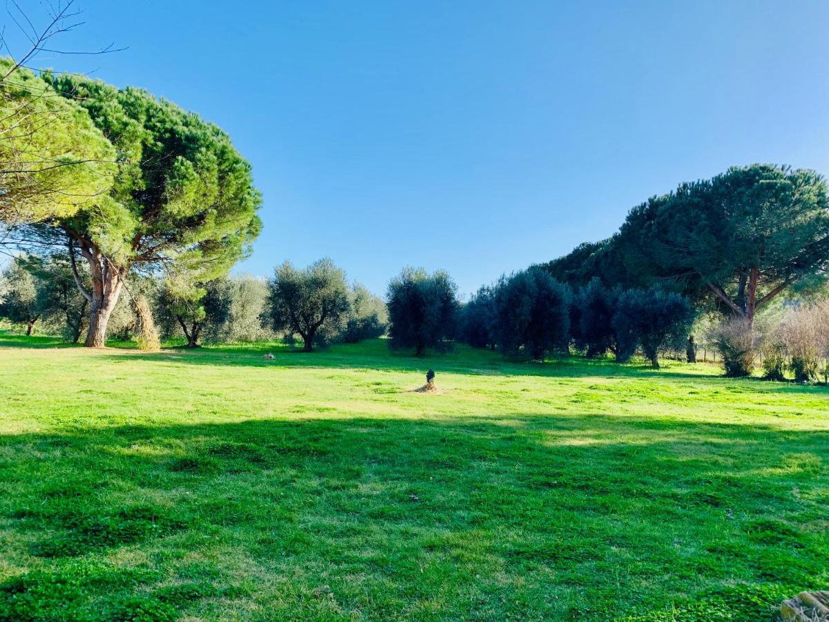 Il Borghetto Di Ansedonia Apartment Luaran gambar