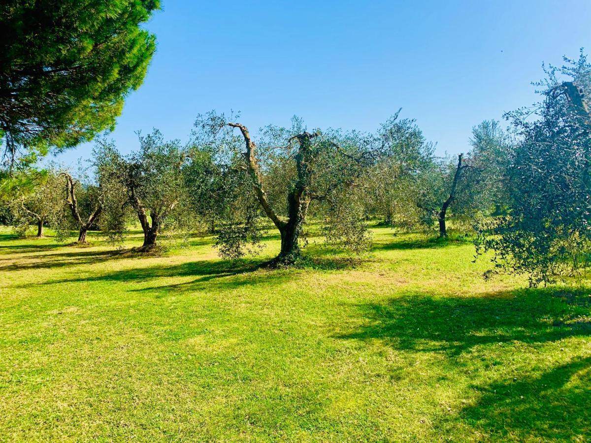 Il Borghetto Di Ansedonia Apartment Luaran gambar
