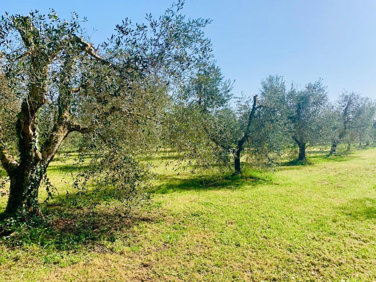 Il Borghetto Di Ansedonia Apartment Luaran gambar
