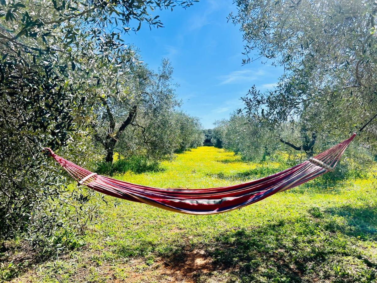 Il Borghetto Di Ansedonia Apartment Luaran gambar